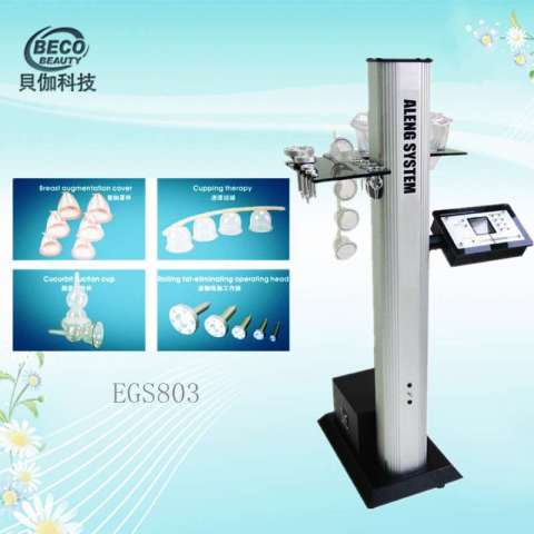 Breast Beauty Equipment / Beauty Equipment /Body Massager (EGS803)